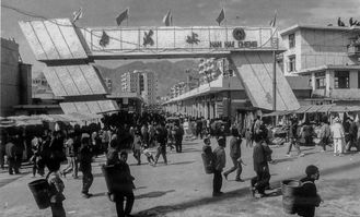 1994年多大，1994年属狗2023年运势如何