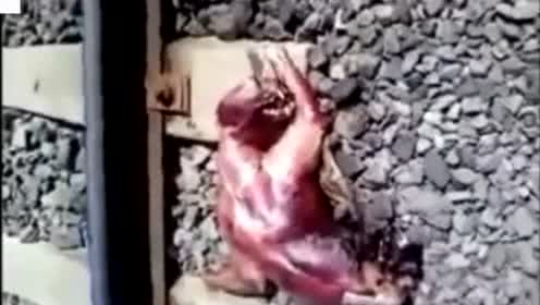 推荐几个灵异事件的公众号