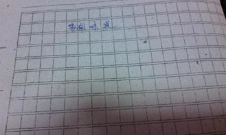 家的味道600字作文初二，家的味道600字作文初三