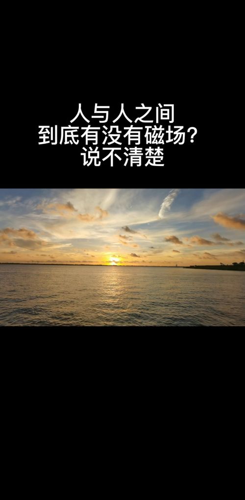 以诚相待造句，以诚相待的经典句子