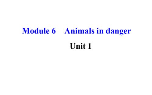 allow和allows有什么区别 什么时候要加s