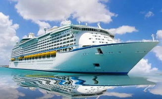 ship的中文意思是什么?