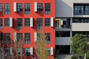 附属的的英语翻译 附属的用英语怎么说