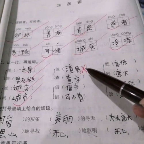 错字组词有哪些