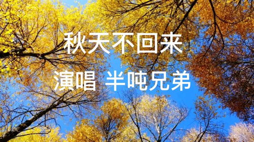 秋天不再来原唱，秋天不再来歌曲