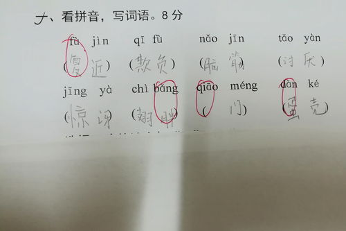 血管读音是什么