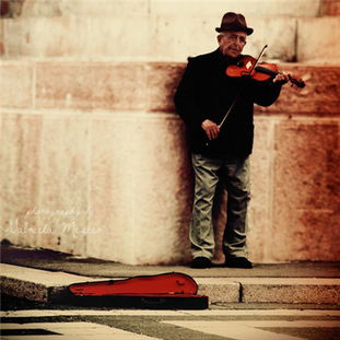 迟暮之年垂暮之年什么意思，垂暮之年什么意思形容乌龟吗