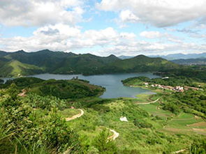 仙游天气40天，仙游天气预报24小时详情