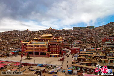 五明是哪五明，五明学