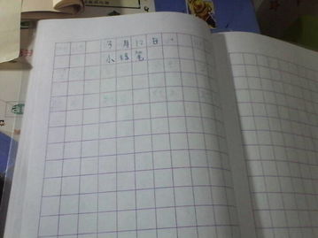 怎么写小练笔分几个步骤