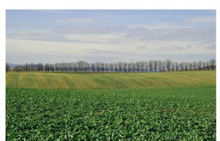 英亩和亩的换算