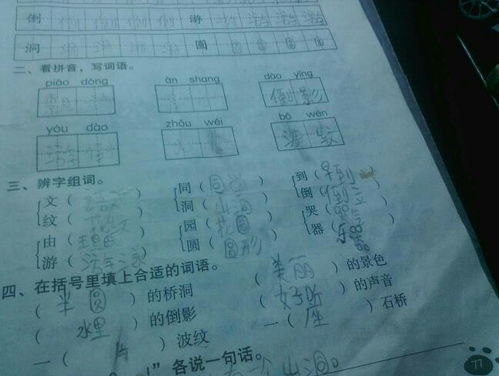 没组词语是什么