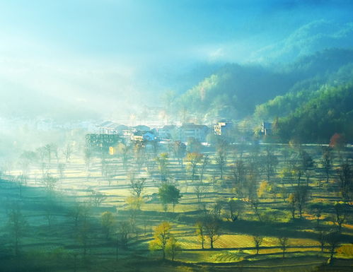 秋晨同学，秋晨名字含义