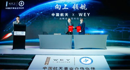 什么成语中带“一隅”