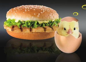 美食成语大全 四字词语，诱人的美食成语