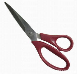 scissors单数还是复数，scissors速记法