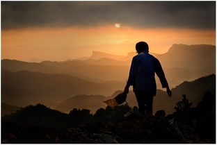 妈妈的背影作文，妈妈的背影歌曲