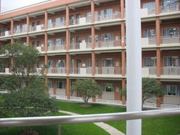 affiliated to，affiliated with