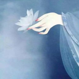 三千水的解释三千水的解释是什么