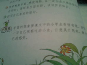 小练笔怎么写四年级，暑假小练笔怎么写