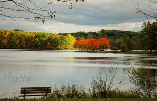 秋河茫茫夜秋柳和她是一个弱女子，秋河是指什么