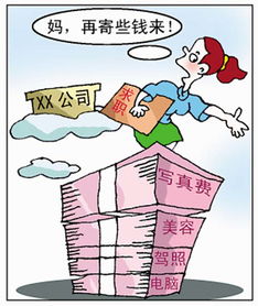 开销是什么意思?，开销记账app