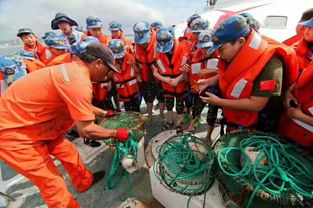 运动技能综合素质评价怎么写，运动技能与控制考试题与答案