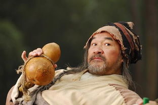 洪七公是谁演的,洪七公扮演者,射雕英雄传洪七公