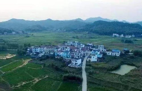 德安属于什么气候类型?