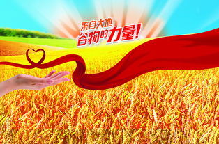 带有“丰”字的成语有哪些?