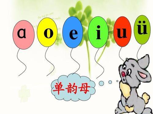 6个单韵母和23个声母，6个单韵母的笔画顺序