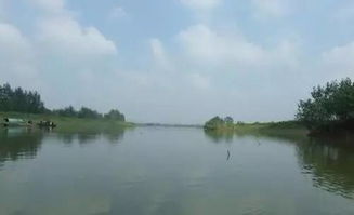 关河是什么意思，关河冻合东西路,肠断斑骓送陆郎生肖