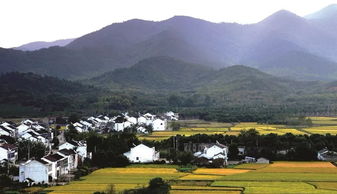 求《乡情》1981年百度云资源,黄小雷主演的