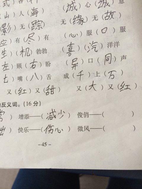 似乎的反义词是什么词，似乎的反义词是什么近义词是什么