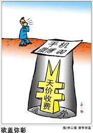 欲盖弥彰是什么意思