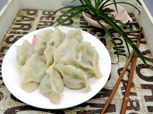 用什么野菜做饺子馅最好吃?