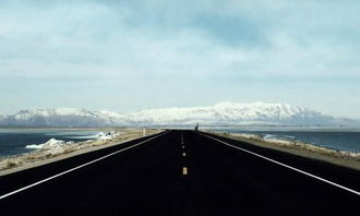 走在回家的路上作文