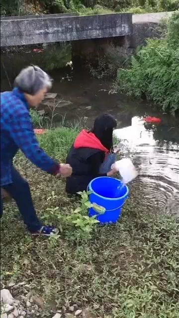 歇后语竹篮打水的答案