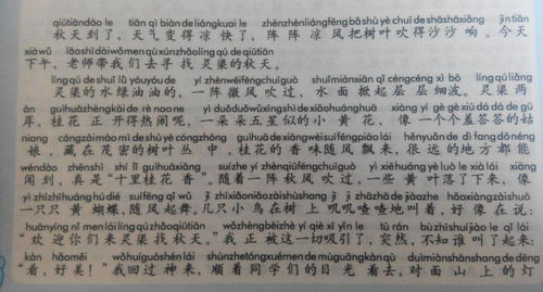 初中生作文600字大全，初二作文600字大全