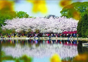 竹外桃花三两枝春江水暖鸭先知下一句是什么