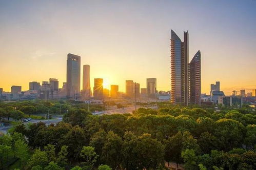 新气息论坛，新气息电视剧网