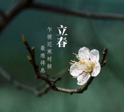 立春是什么意思含义