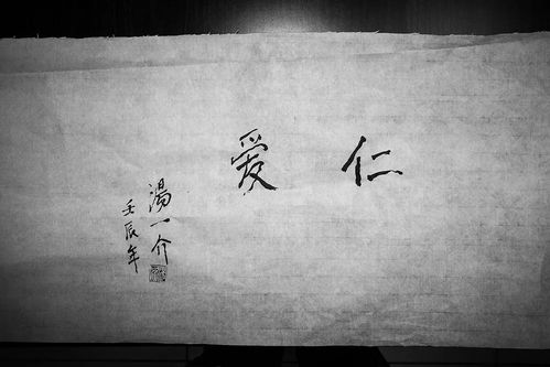 素位而行,至诚无息，素位而行,不愿乎其外什么意思