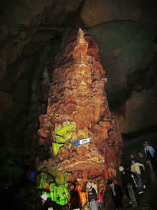 仙洞龟背竹的养殖方法和注意事项，仙洞山风景区