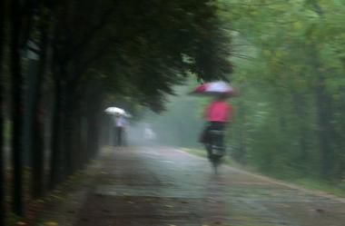秋雨绵绵的意思