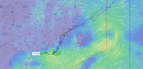 温州台风网台风路径图，温州台风网app下载