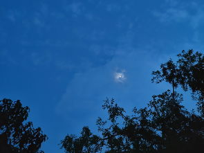 月明的词语解释