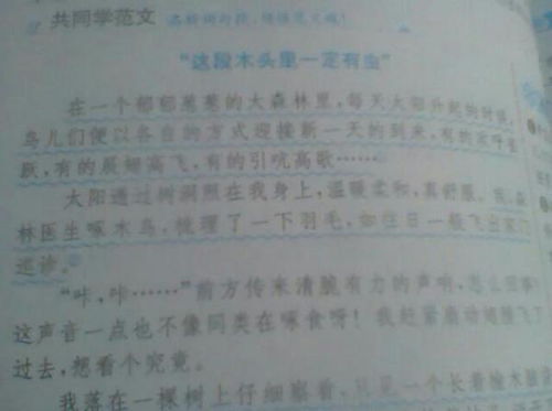 游乐场之旅作文400字