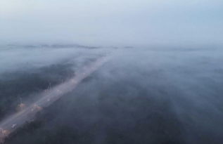 你在大雾里得意忘形的情感态度