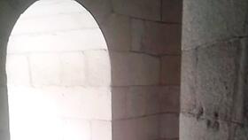 《鸟中诸葛》中的“诸葛”是什么意思?在文中的含义是什么?